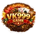 VK999